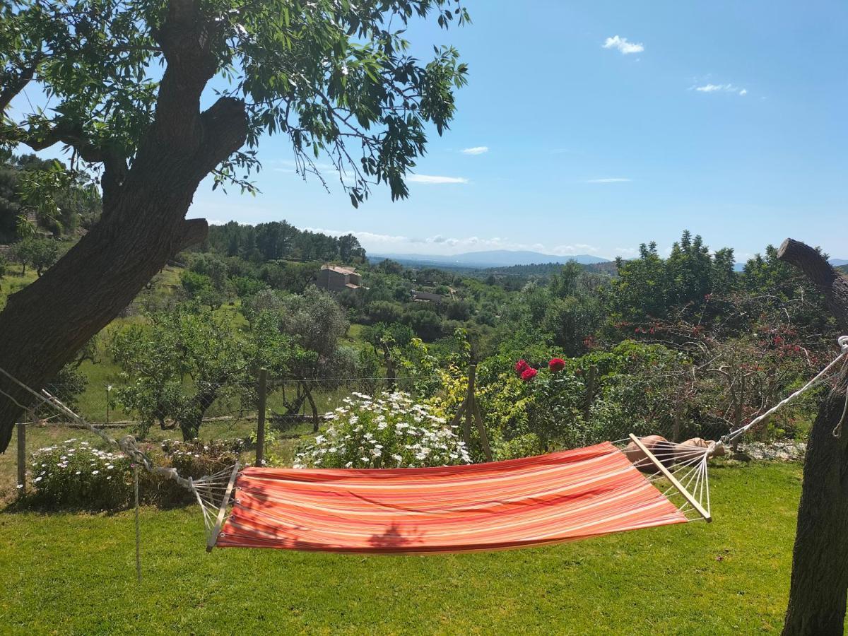 Villa Sa Teulera Etv7398 Alaro Bagian luar foto